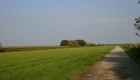 Einsame Weg für ausgedehnte Radtouren in Friesland